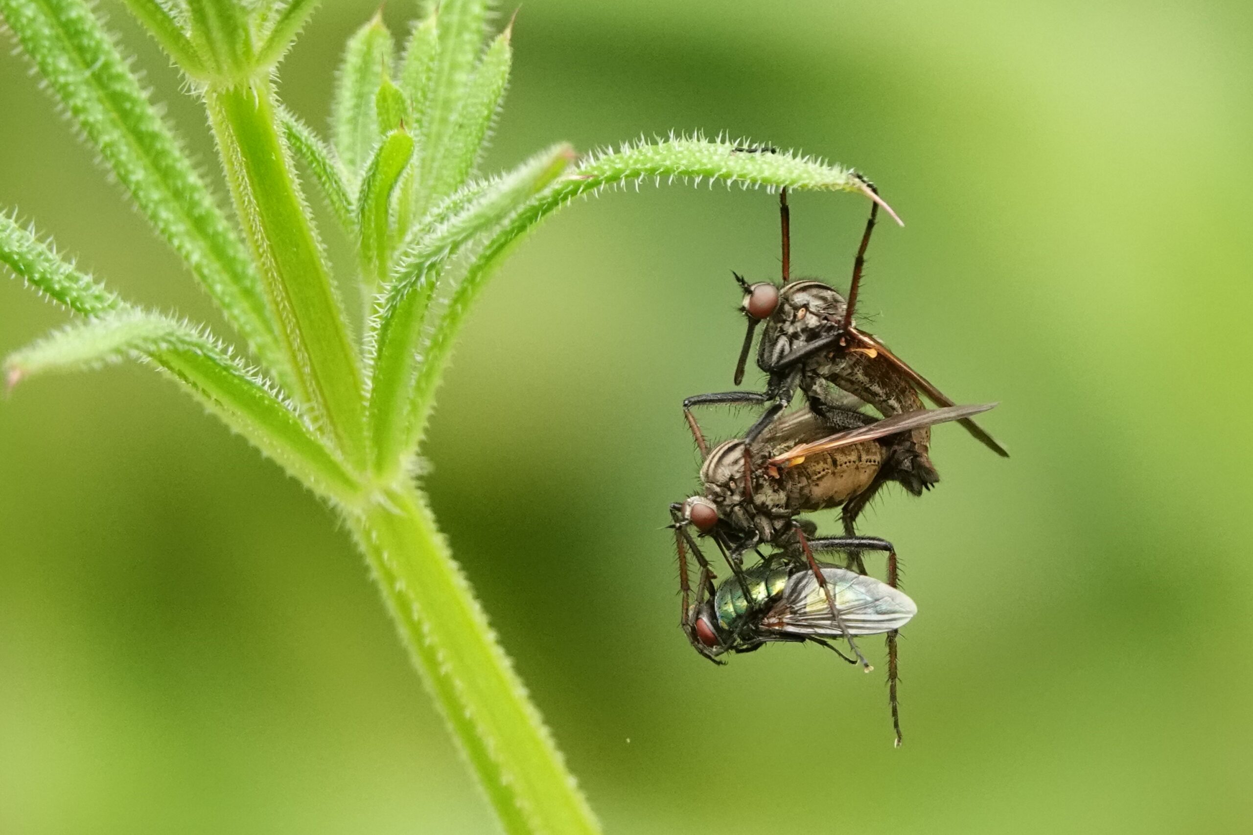 Winnaar fotowedstrijd